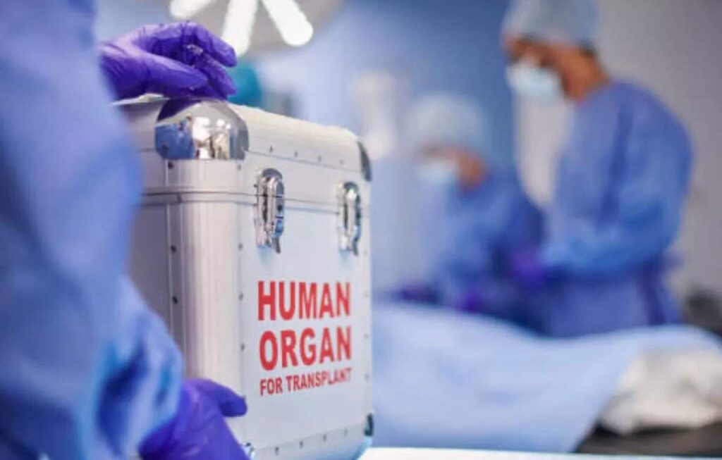 80% of organ transplants between 1995 and 2021 were on men: Government data, ET HealthWorld
